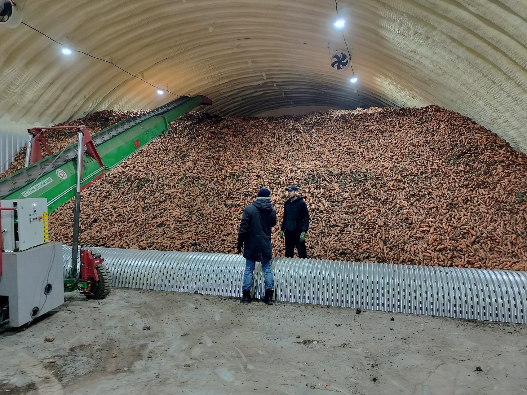 Морковь на хранении в логистическом центре